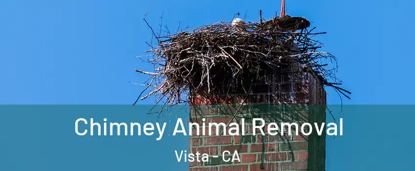  Chimney Animal Removal Vista - CA