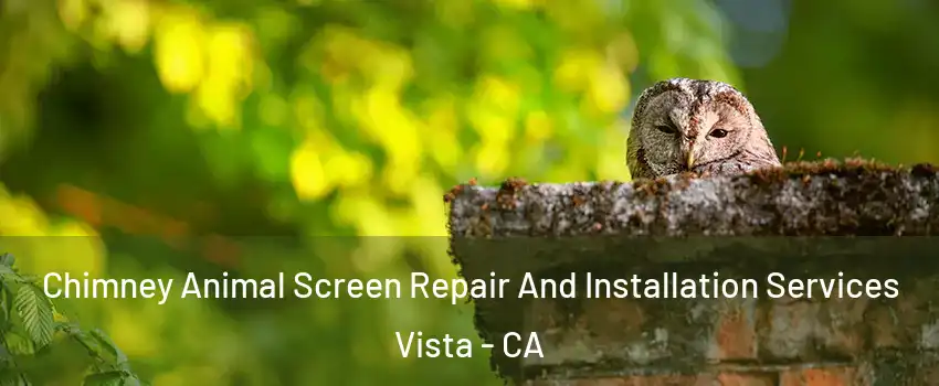  Chimney Animal Screen Repair And Installation Services Vista - CA