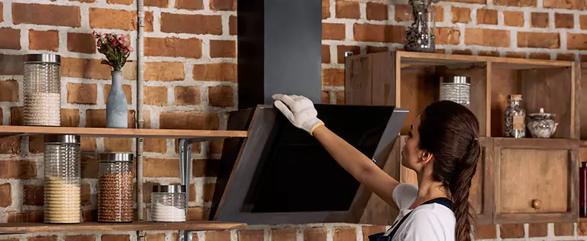 Chimney Installation in Vista, CA