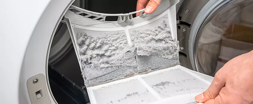 Best Dryer Lint Removal Company in Vista, California