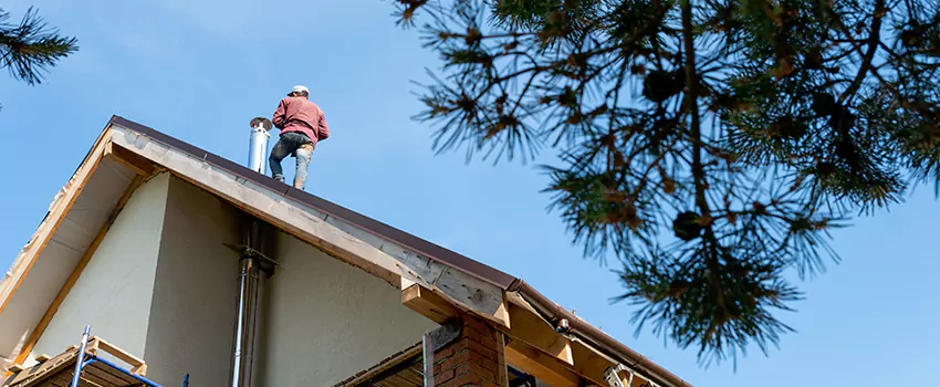 Birds Removal Contractors from Chimney in Vista, CA