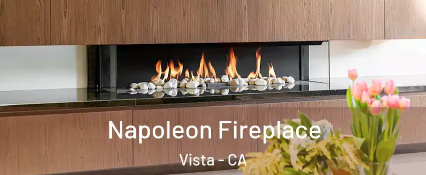  Napoleon Fireplace Vista - CA